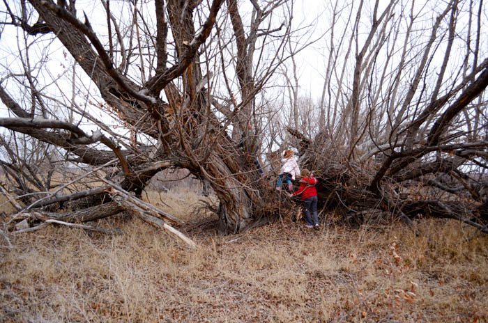 family nature walk